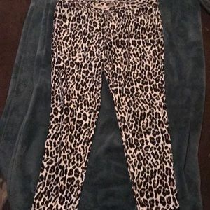 Cache leopard ankle length pants